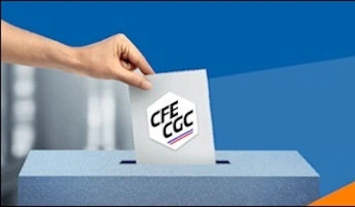 4 questions que vous vous posez sur les élections et la CFE-CGC