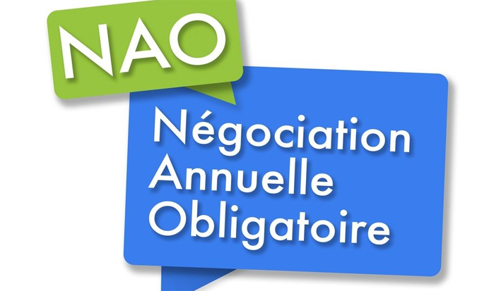 NAO: Absence de délégation CFE-CGC