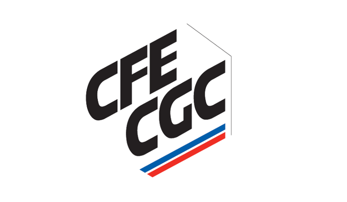 Nomination du Délégué Syndical Central pour la CFE-CGC JTEKT Europe